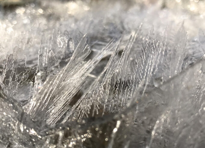 ijs:natuurcreatie:www.hip-happy.nl