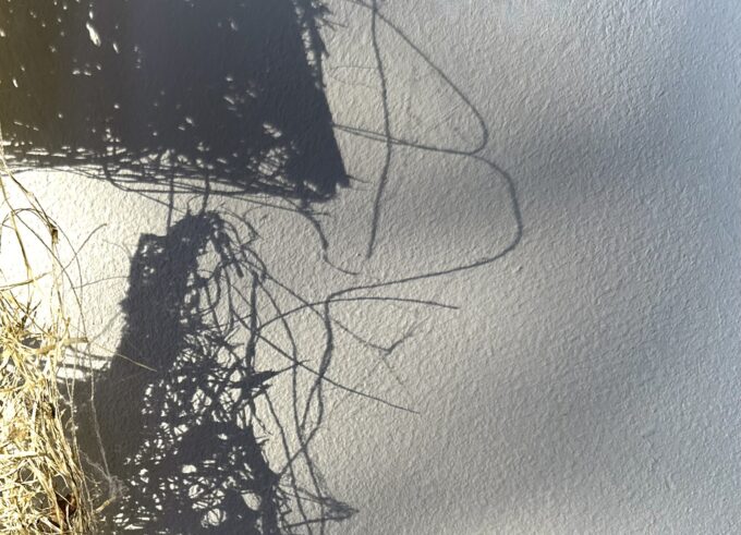 h.vdheide:poetry:grasvezels